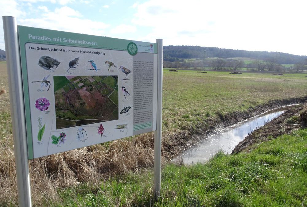 Wieder illegaler Baggereinsatz in einem Naturschutzgebiet