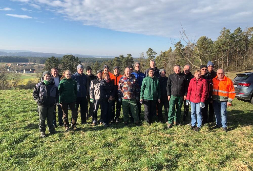 Obstbäume wieder in Form gebracht