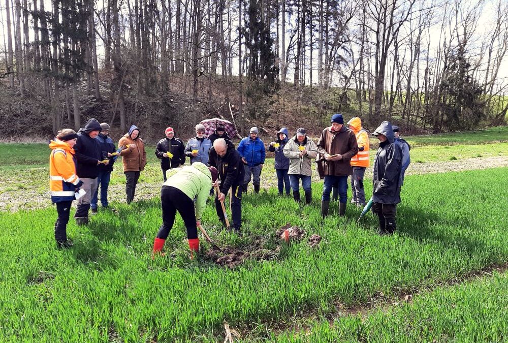 Mit Spaten und Sachverstand im Einsatz in Massenbach und Tiefenbach, um den Böden auf den Grund zu gehen