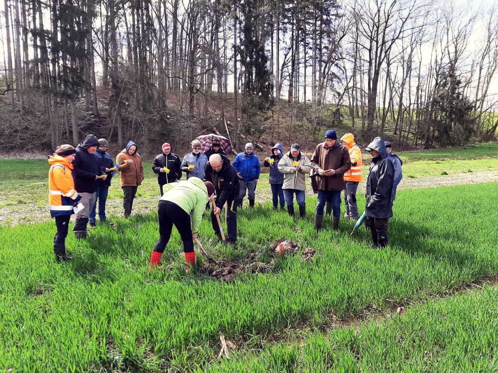 Bodenklassifizierung Massenbach und Tiefenbach April 2024