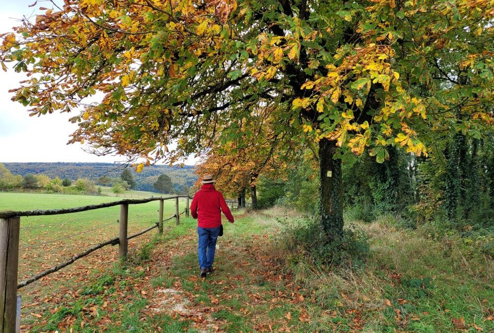 Herbstzauber im Altmühltal — Eichstätter Wanderwochen – gemeinsam genussvoll wandern