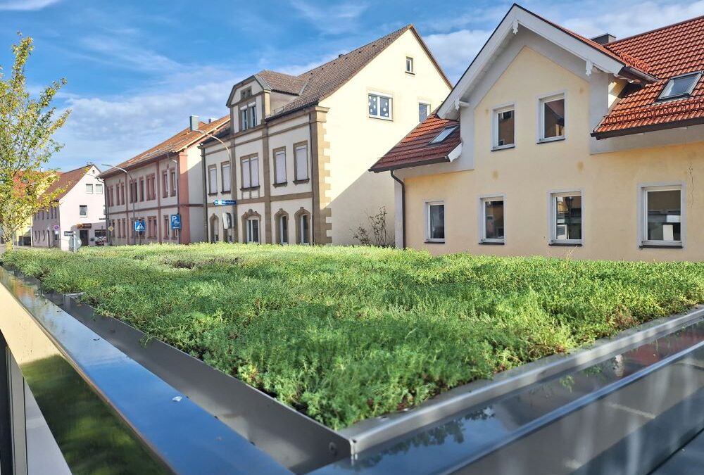 Grünes Ausrufezeichen – Gunzenhäuser Mobilitäts- und Verkehrs-GmbH bepflanzt Wartehäuschen