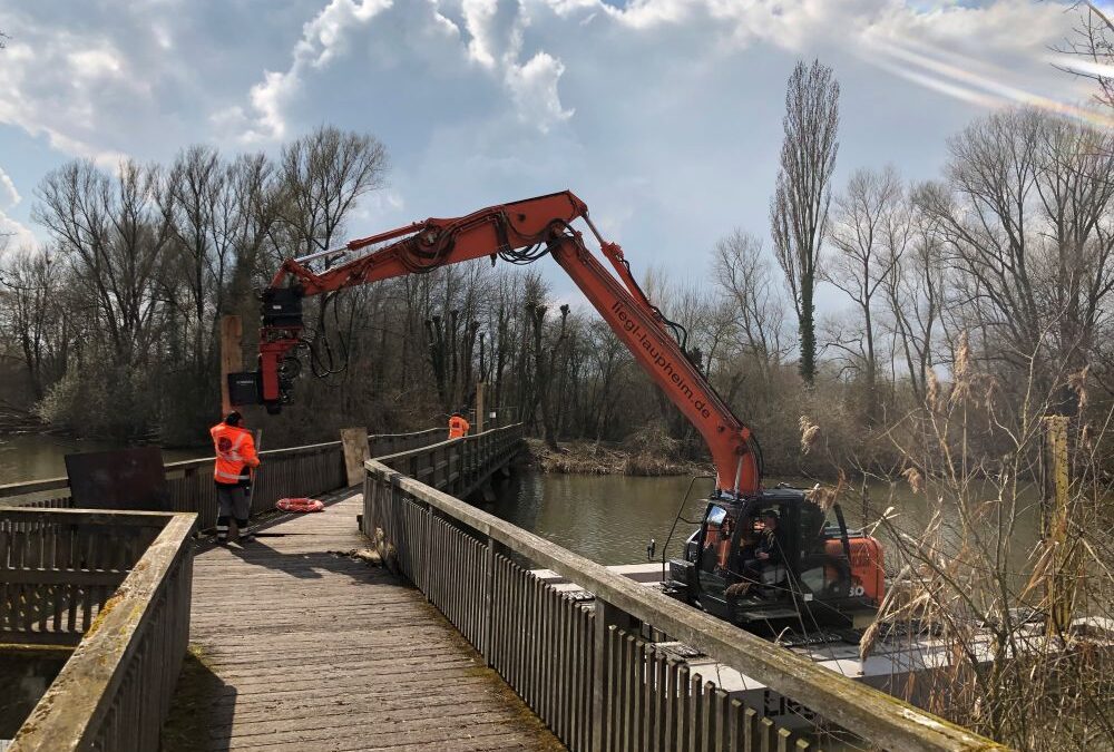 Zugangsbrücke zur Vogelinsel wieder geöffnet