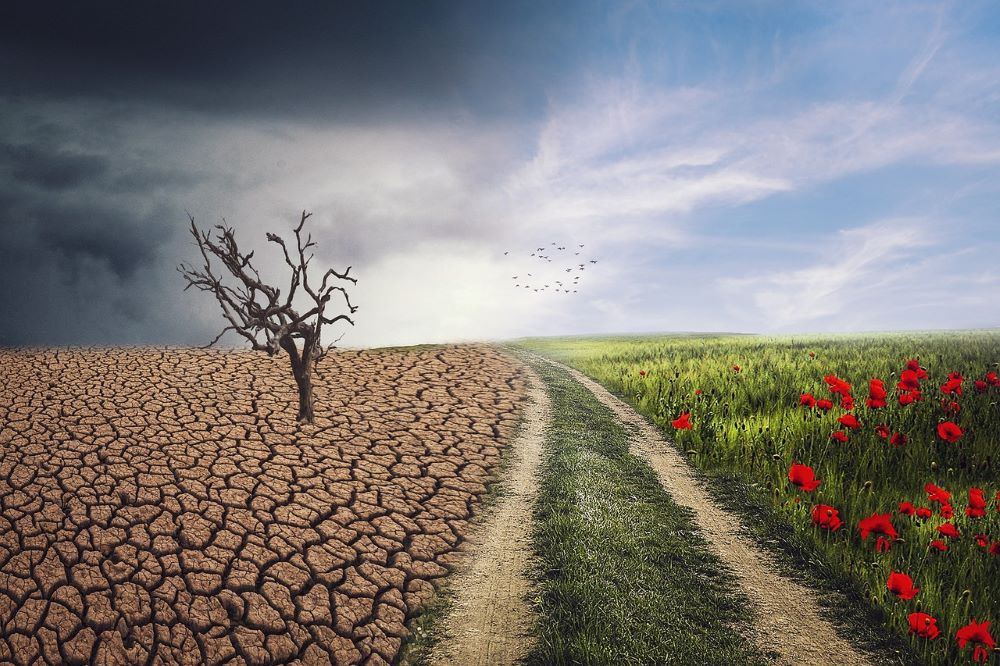 Herausforderungen des Klimawandels begegnen: Anpassung der Bodenbewirtschaftung an neue Herausforderungen
