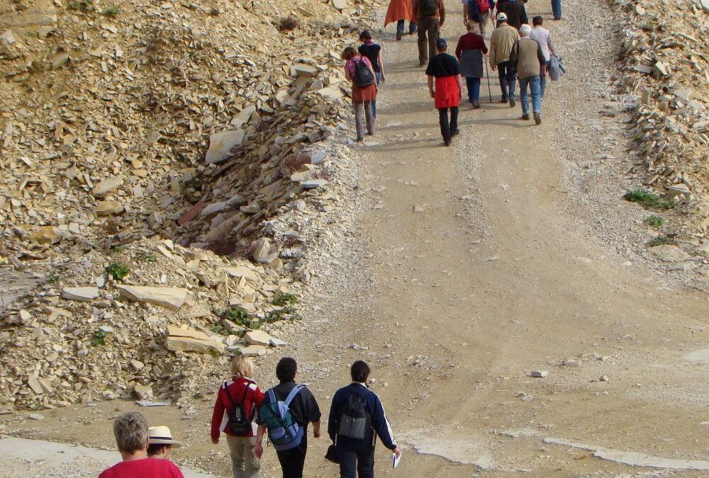 „SOLNHOFEN WANDERT“ — auf den Spuren von Archaeopteryx am Sonntag, 04. Mai 2025, 14:00 Uhr