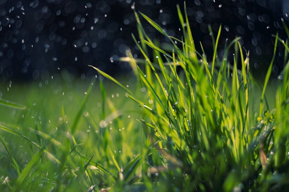 spring-7167212_1280
