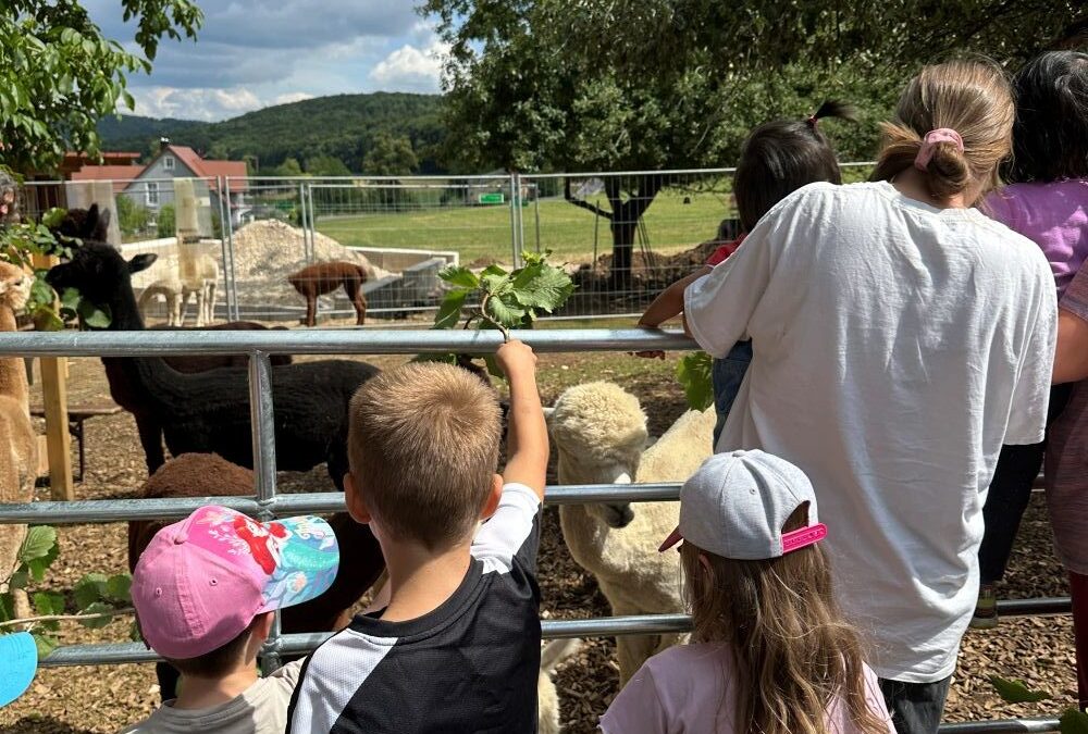 Pflegeelternausflug: Ein tierisches Erlebnis für Groß und Klein am Rohrachtal-Alpakahof