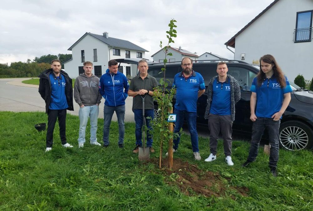 Blue Bulls Ellingen pflanzen Baum nach Nominierung durch die Fengschler Felchbach Darter.