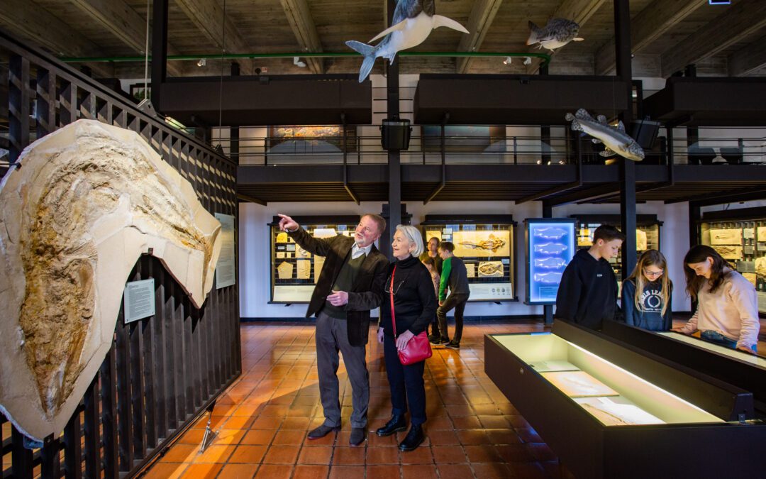 Am Internationalen Museumstag auf die Eichstätter Willibaldsburg