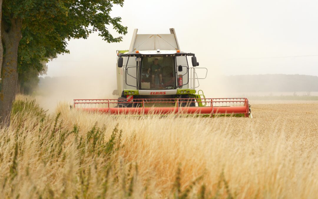 Erntezeit beginnt: Der Bayerischer Bauernverband bittet um Rücksicht und Aufmerksamkeit