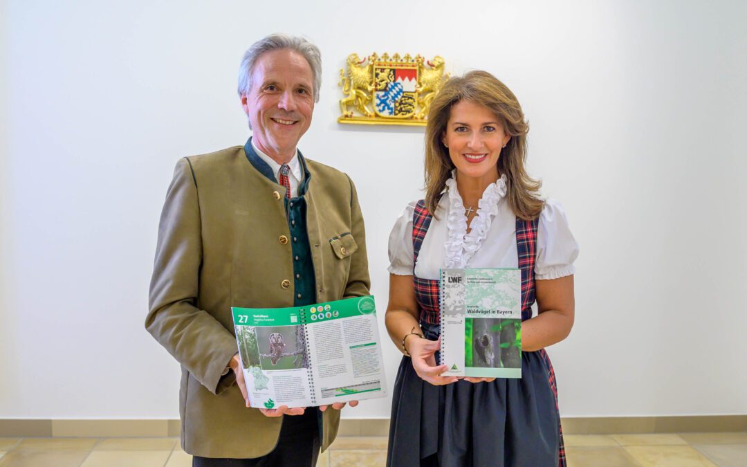Vogelschutz in Bayerns Wäldern